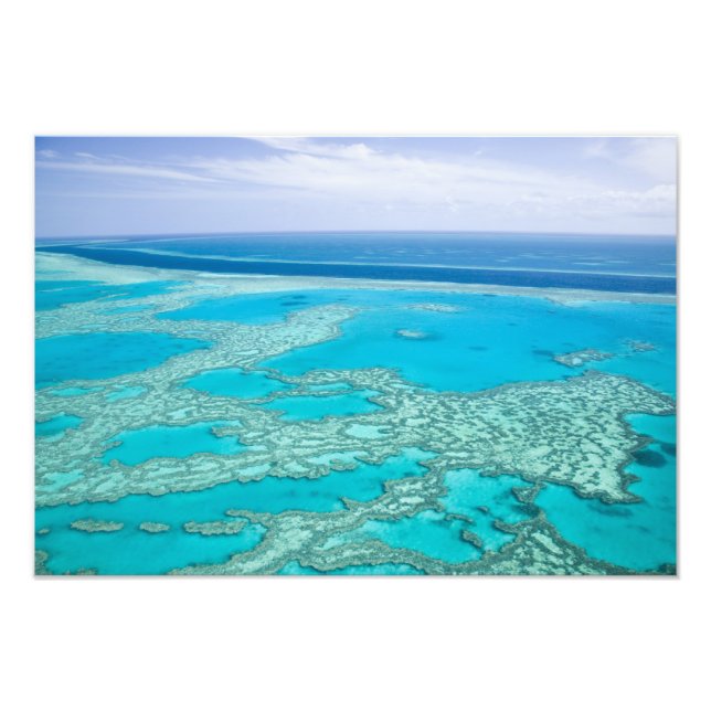 Foto Austrália, Queensland, Costa de Whitsunday, Grande (Frente)