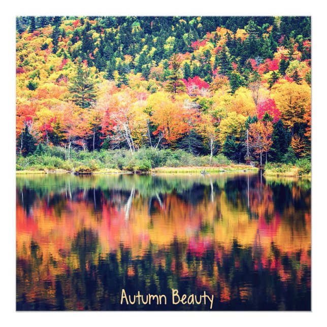 Foto Autumn Beauty (Frente)