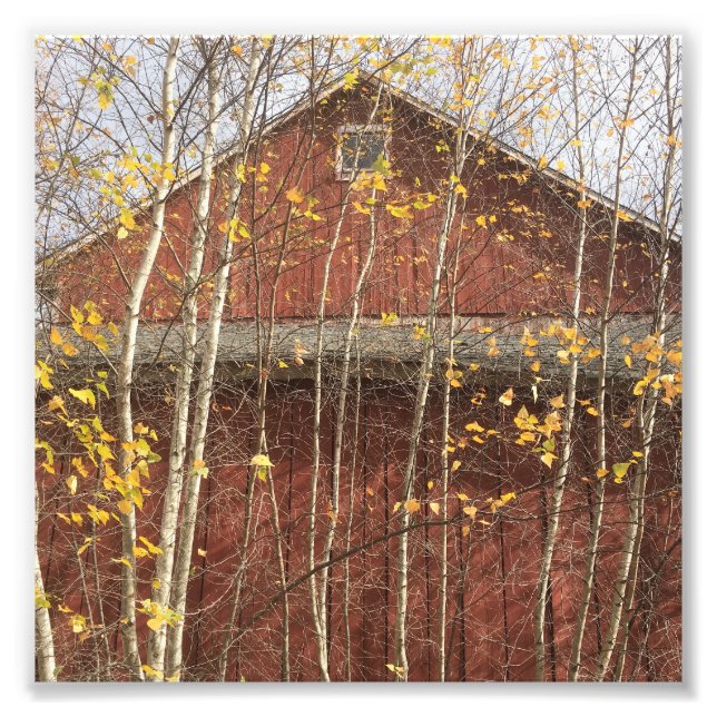 Foto Autumn Country Barn (Frente)