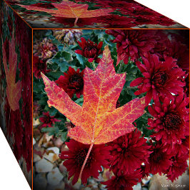 Foto Autumn Delight Photo Art Impressão por Stan