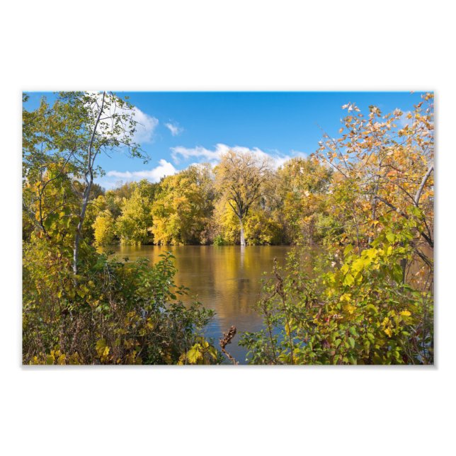 Foto Autumn Foliage Ao Longo Do Rio Minnesota (Frente)