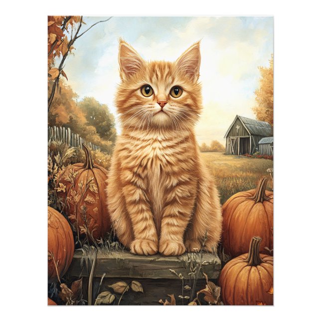 Foto Autumn Kitten com Pumpkins (Frente)
