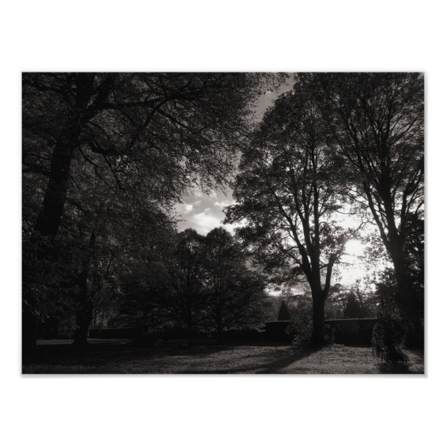 Foto Autumn Landscape Bute Park Cardiff (Frente)