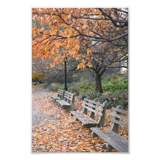 Foto Autumn Leaves Riverside Park Nova Iorque NYC (Frente)