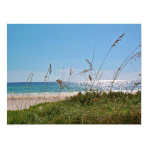 Foto Aveia tropical da praia e do mar