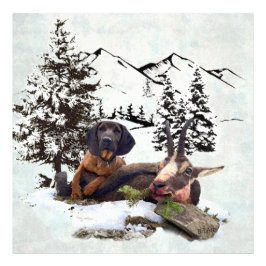 Foto aventura de caça de cabras de montanha