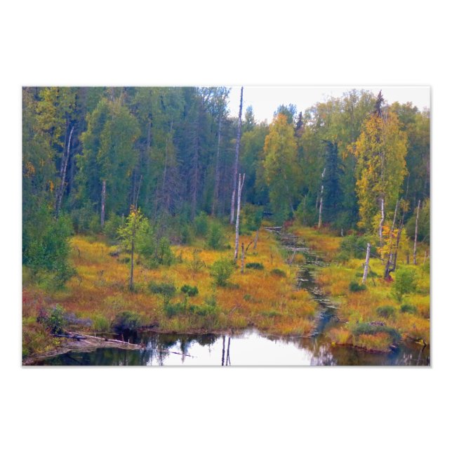 Foto Aventura no Alasca - Paisagem nº 6 (Frente)