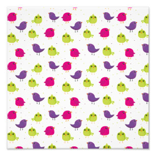 Foto Aves brancas e coloridas