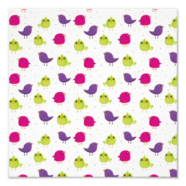 Foto Aves brancas e coloridas (Frente)