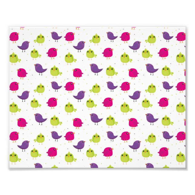 Foto Aves brancas e coloridas (Frente)