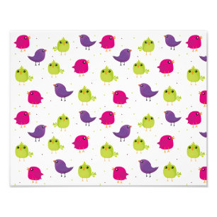 Foto Aves brancas e coloridas