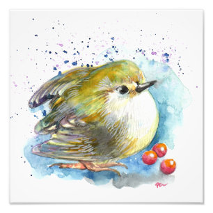 Foto Aves e Berries