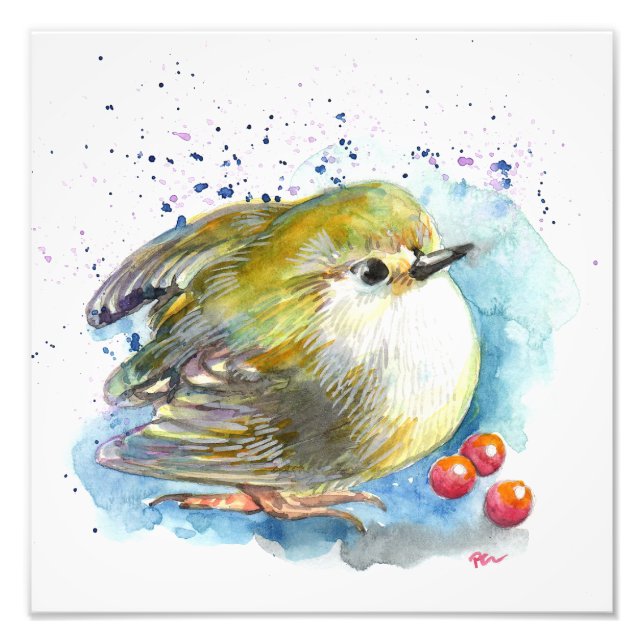 Foto Aves e Berries (Frente)