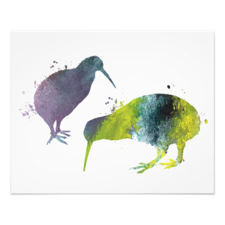 Foto Aves Kiwi