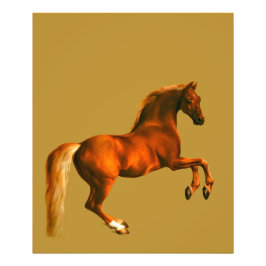 Foto Avô do Godolphin Arabian