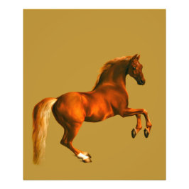 Foto Avô do Godolphin Arabian