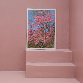 Foto Azaleas cor-de-rosa bonito Floral