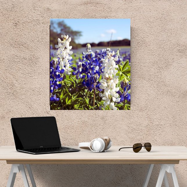 Foto Azul e Branco Bluebonnets Paisagem Acabamento em S (Criador carregado)
