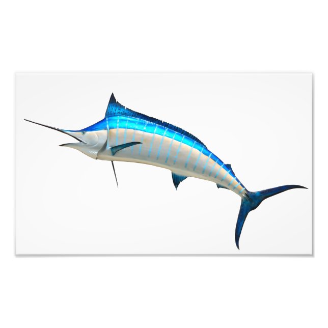 Foto Azul Marlin Game Fish (Frente)
