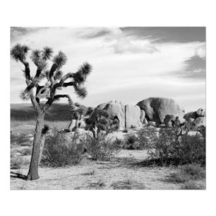 Foto B&W Joshua Tree Parque Nacional