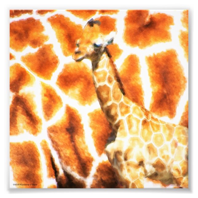 Foto Baby Giraffe (Frente)