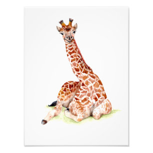 Foto Baby Giraffe