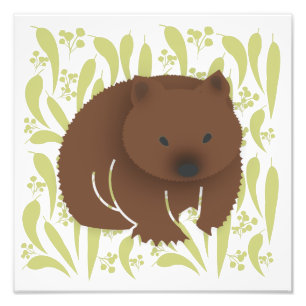 Foto Baby Wombat em Olive