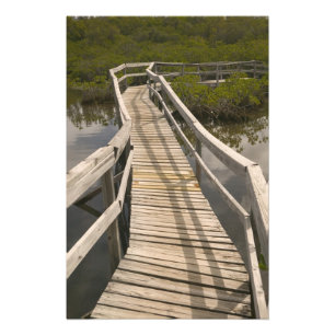 Foto BAHAMAS, Ilha de Grand Bahama, Lado Leste: