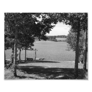 Foto Balanço do lago