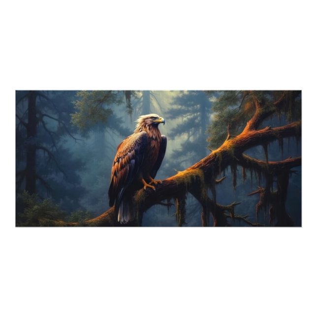 Foto Bald Eagle Perch (Frente)