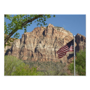 Foto Bandeira Americana no Parque Nacional Zion I