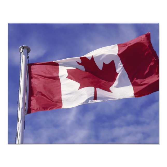 Foto bandeira canadense (Frente)