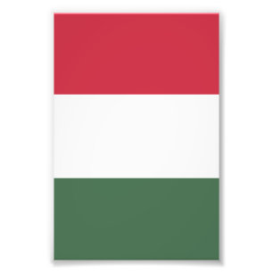 Foto Bandeira da Hungria