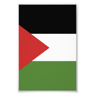 Foto bandeira da Palestina
