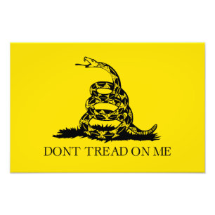 Foto Bandeira de Gadsden Rattlesnake: Guerra Revolucion