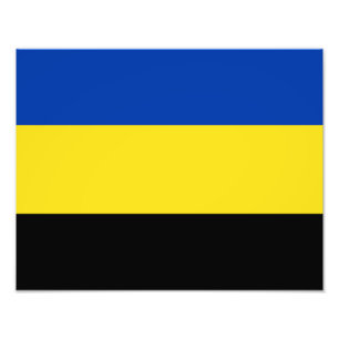 Foto Bandeira de Gelderland