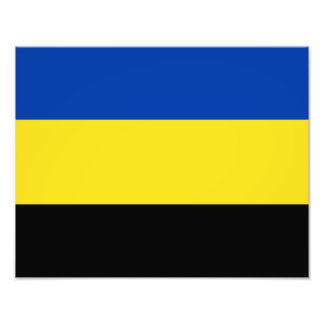 Foto Bandeira de Gelderland