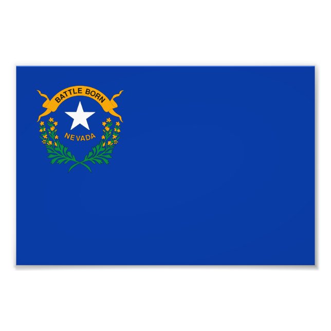 Foto Bandeira do Estado de Nevada (Frente)