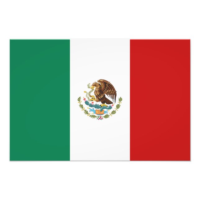 Foto Bandeira do México (Frente)