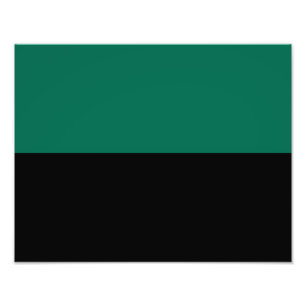 Foto Bandeira do Texel