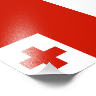 Foto Bandeira Tonga