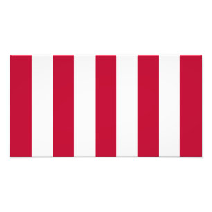 Foto Bandeira US Sons Of Liberty 9 Listras