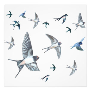 Foto Bando de aves andorinhas que voam madeira