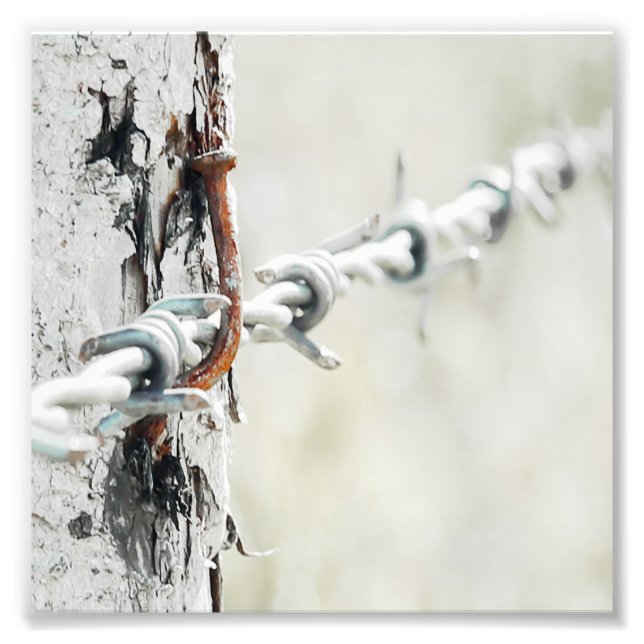 Foto Barbed Wire Hang Com Um prego enferrujado (Frente)