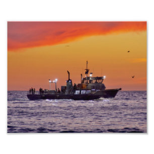 Foto Barco De Pesca Ao Lado Do Sol - Marina Del Rey, CA