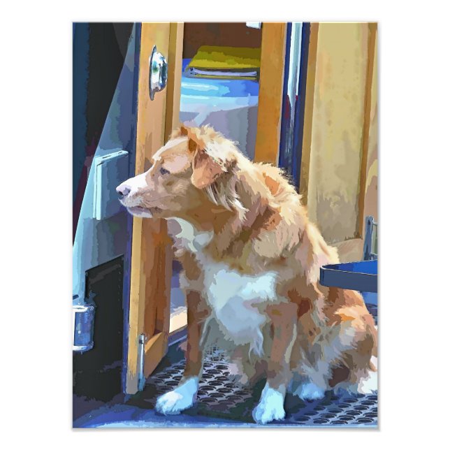 FOTO BARCOS CANAIS (Frente)