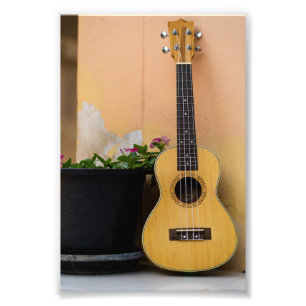 Foto Bass Guitar Incrível