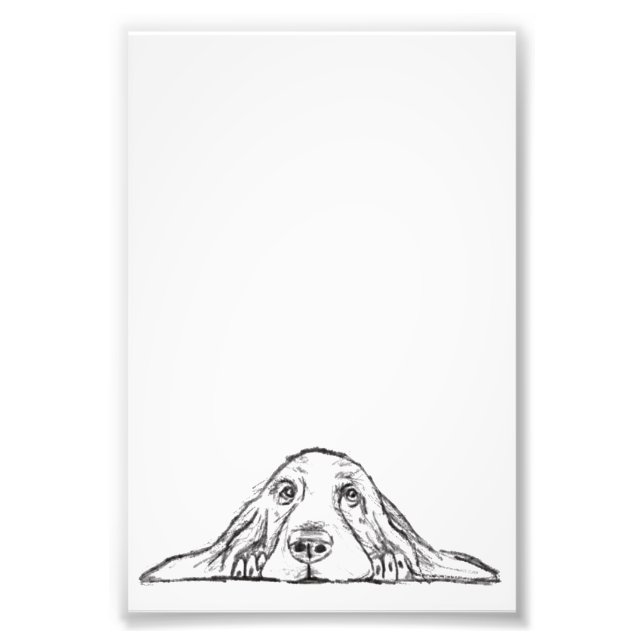 Foto basset hound preto branco simples olhos de cachorr (Frente)