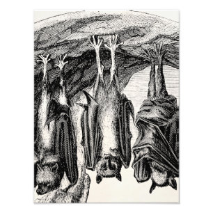 Foto Bastão do Fox de vôo dos 1800s do bastão do