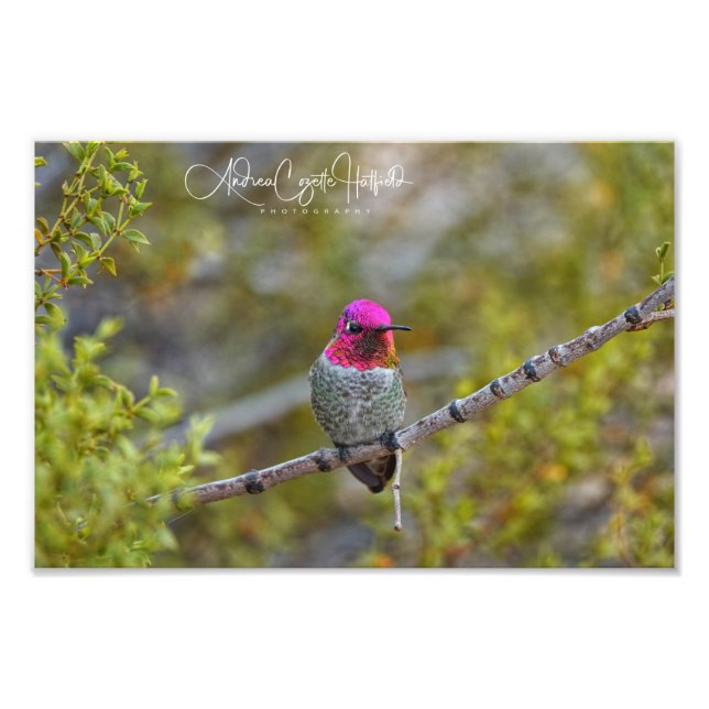Foto Be-Jeweled 1 (Frente)